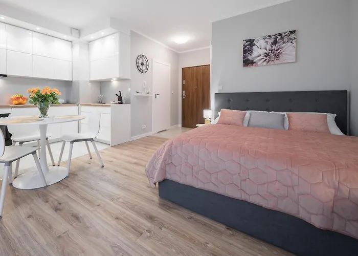 Flow Apartments Torun